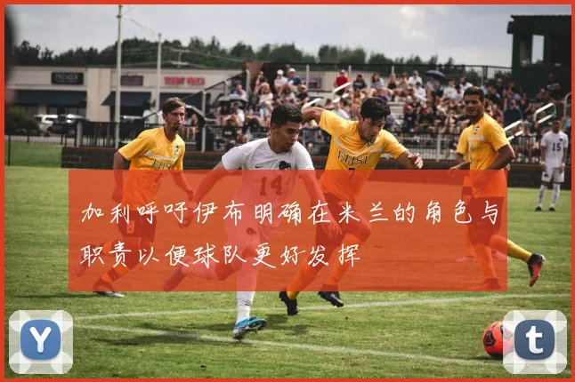 加利呼吁伊布明确在米兰的角色与职责以便球队更好发挥