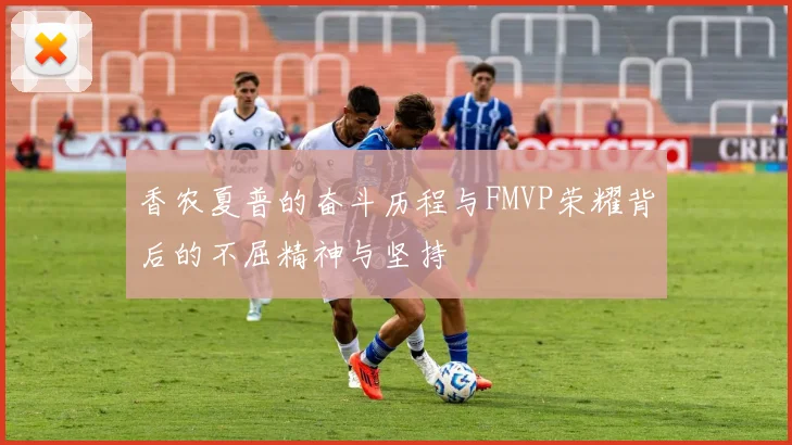 香农夏普的奋斗历程与FMVP荣耀背后的不屈精神与坚持